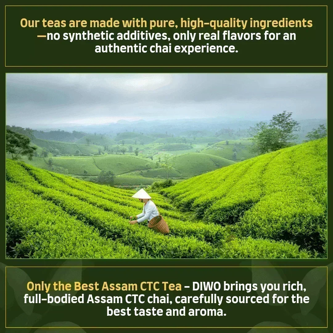 8 Flavours Tea Trial Combo - Makes 200 Cups