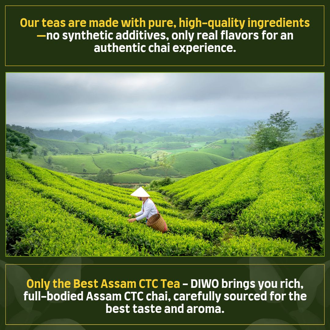 4 Flavours Assorted Tea Trial Pack- Makes 100 Cups