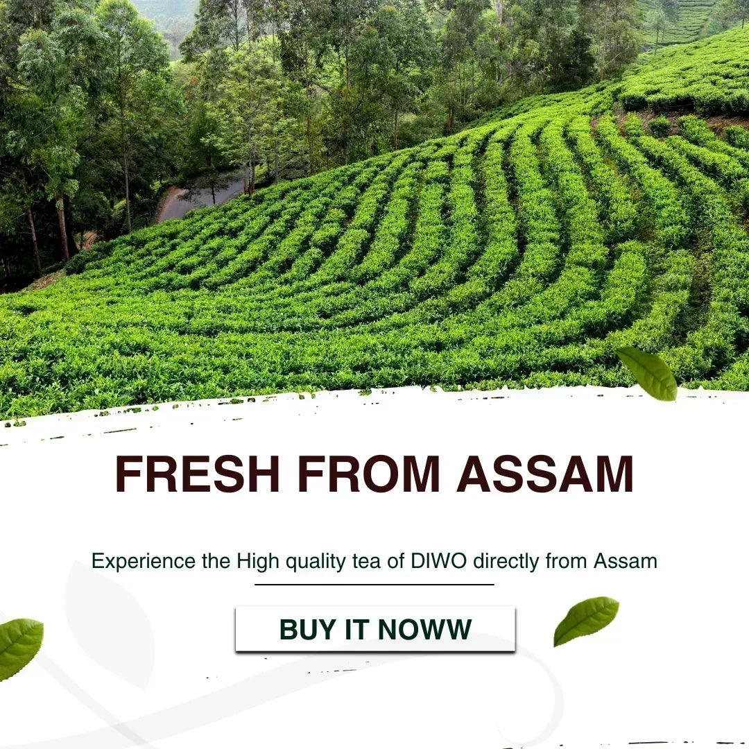 Jaipuri Gulab Tea Flavour - Makes 100 Cups